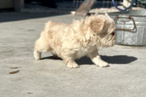IMG_8536 IMG_8536
